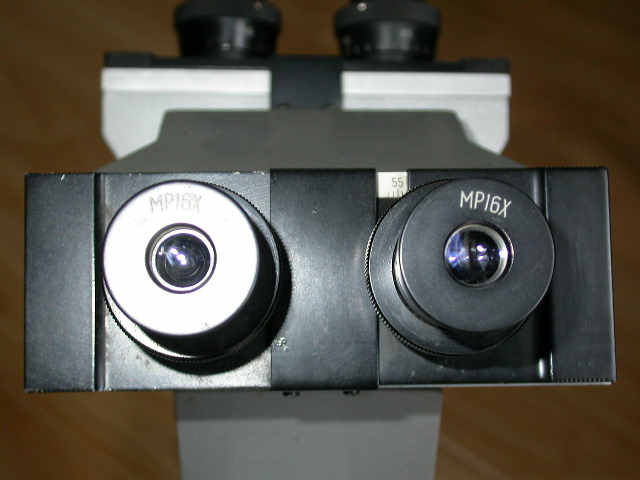 DSCN1875.JPG