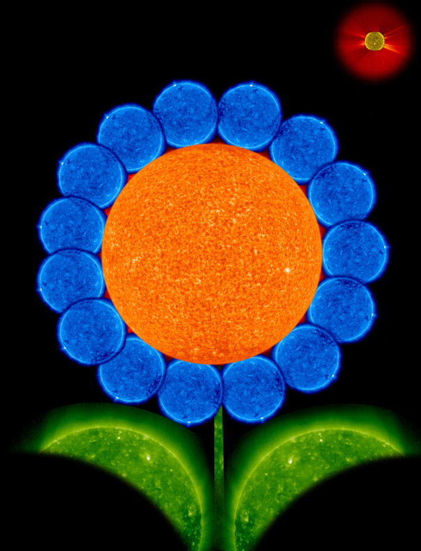 flower2.jpg