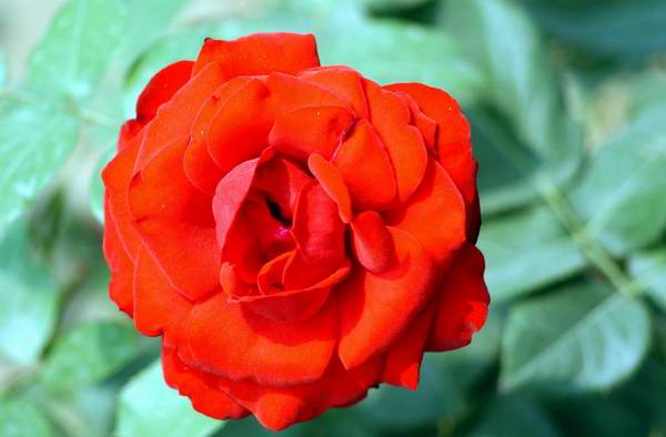 DSC_2340.jpg