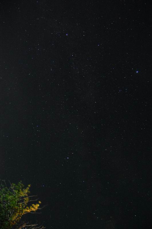 调整大小 旋转 DSC_0036.JPG