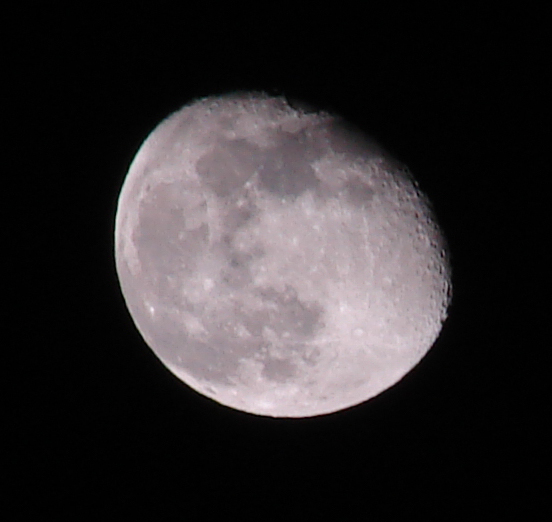 DSC01385.JPG