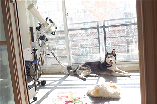 neo&telescope.jpg