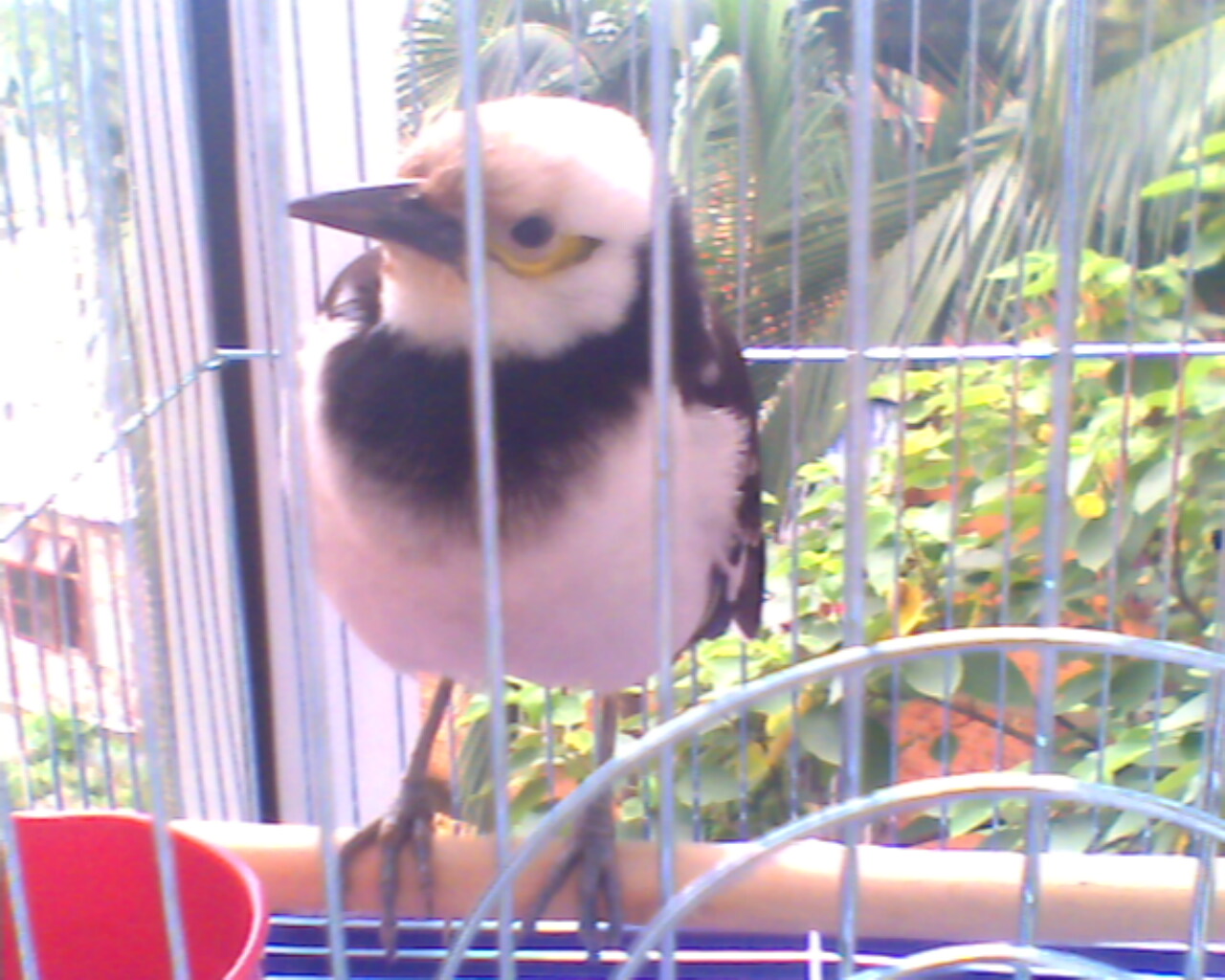 IMG0014A.jpg