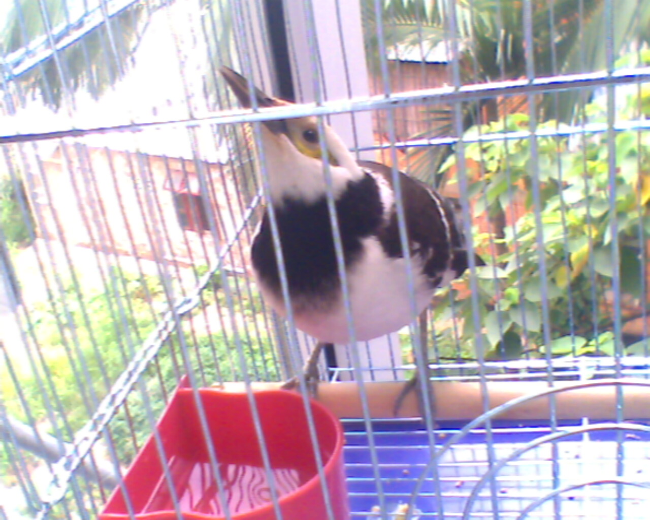 IMG0013A.jpg