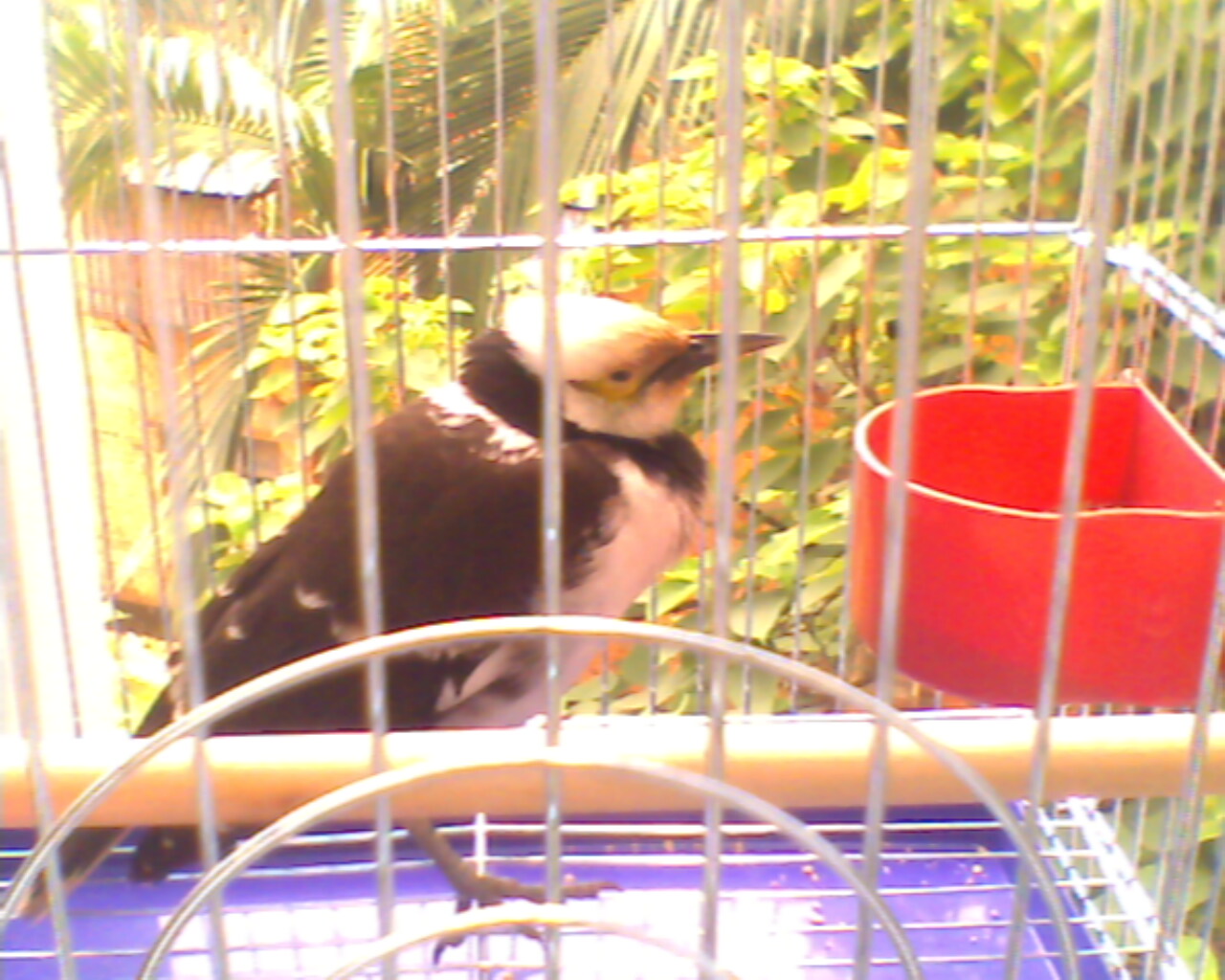 IMG0007A.jpg