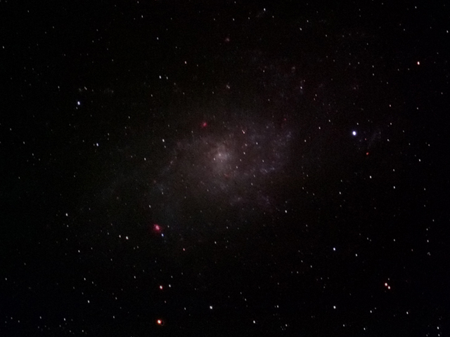 M33