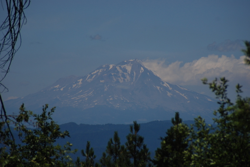 终年积雪的mount shasta