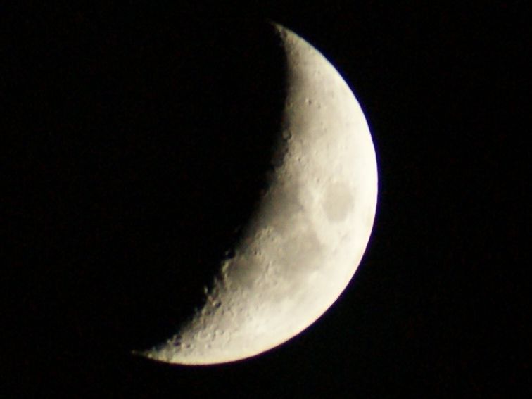 DSC00664.JPG
