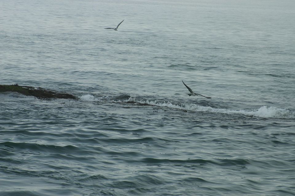 IMG_7935.JPG