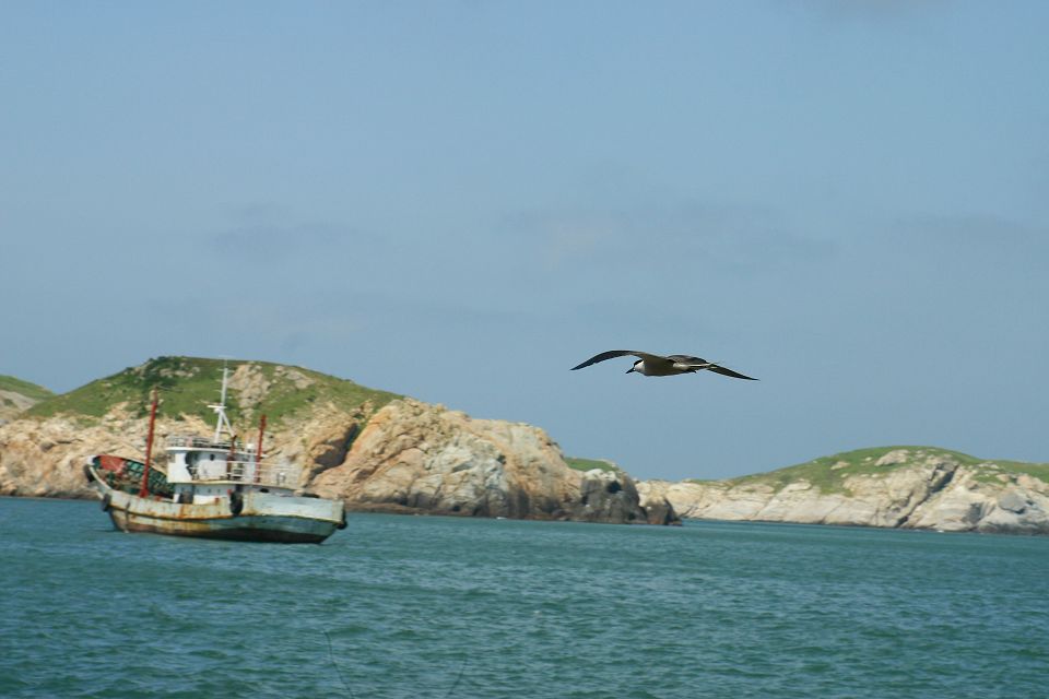 IMG_7537.jpg