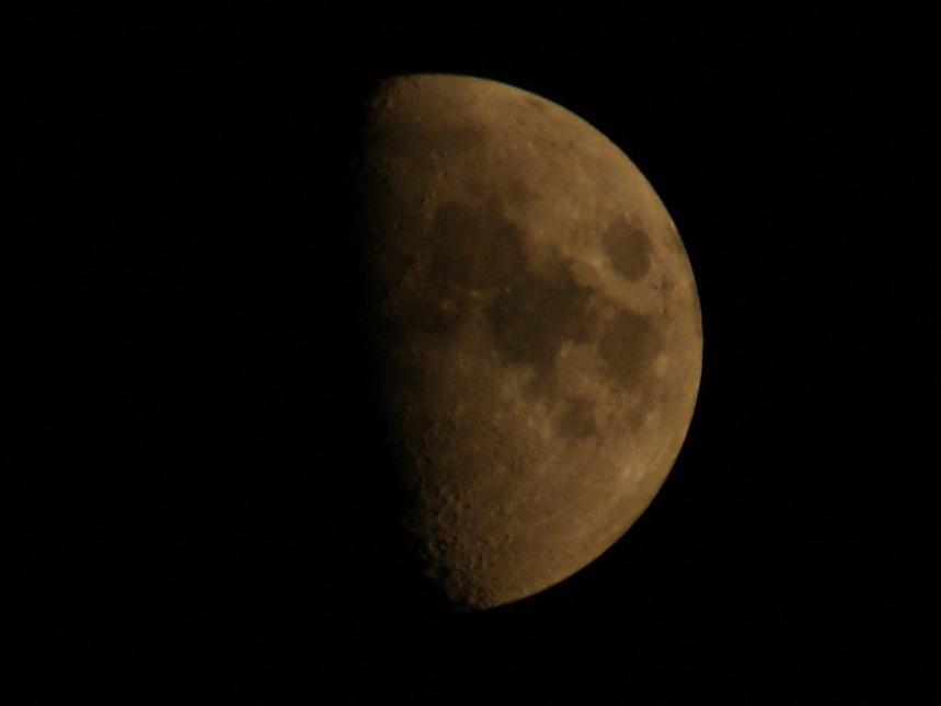 DSC00720.JPG