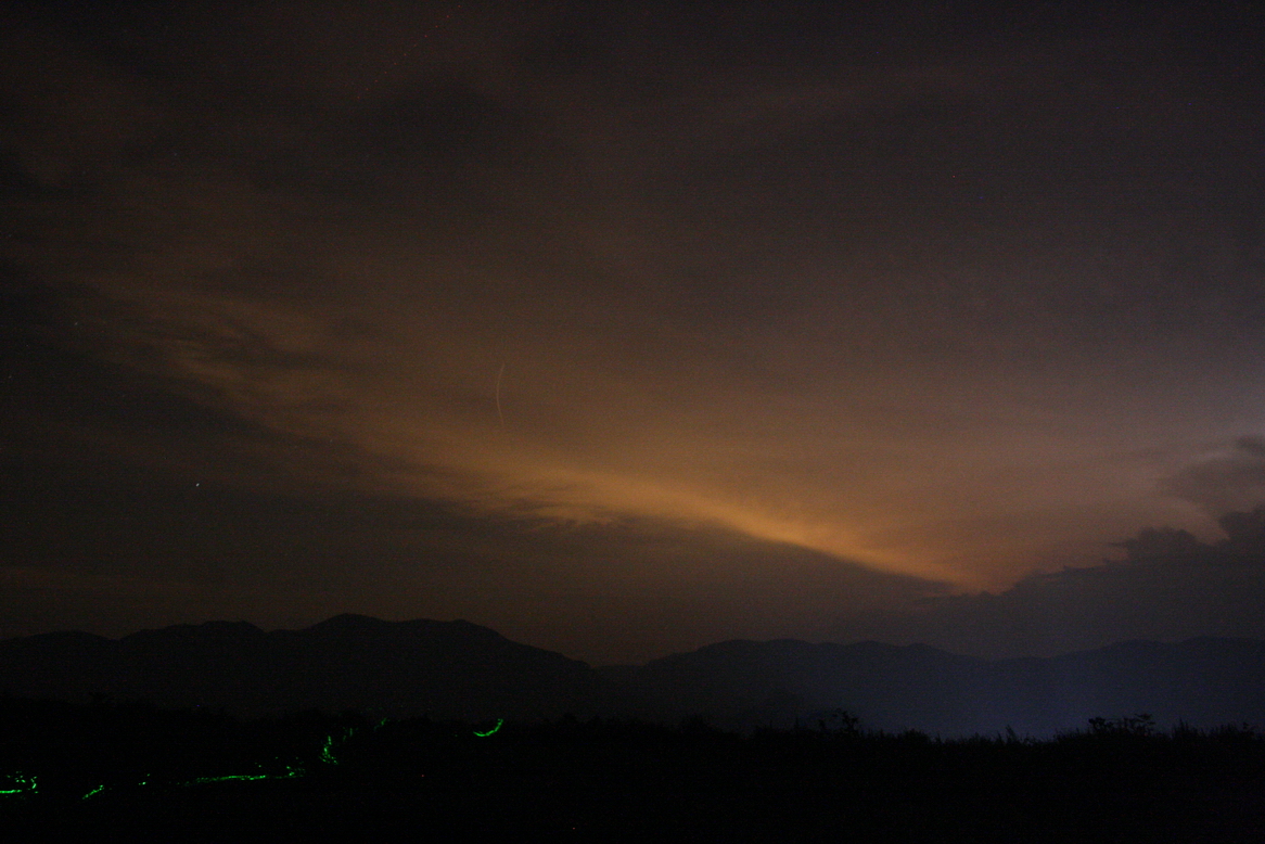 IMG_8547_调整大小.JPG