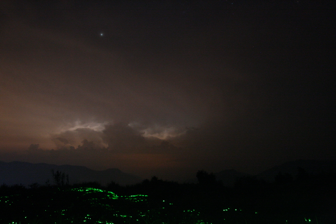 IMG_8536_调整大小.JPG