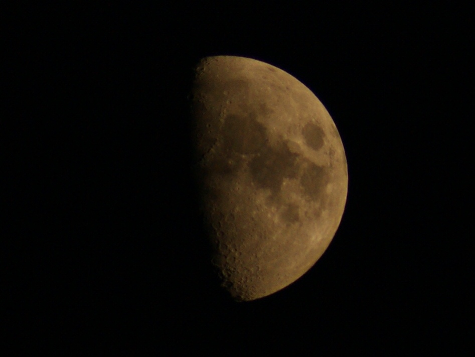 DSC00718.JPG