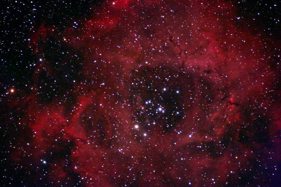 Rosette