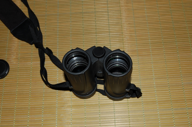 DSC_1064.jpg
