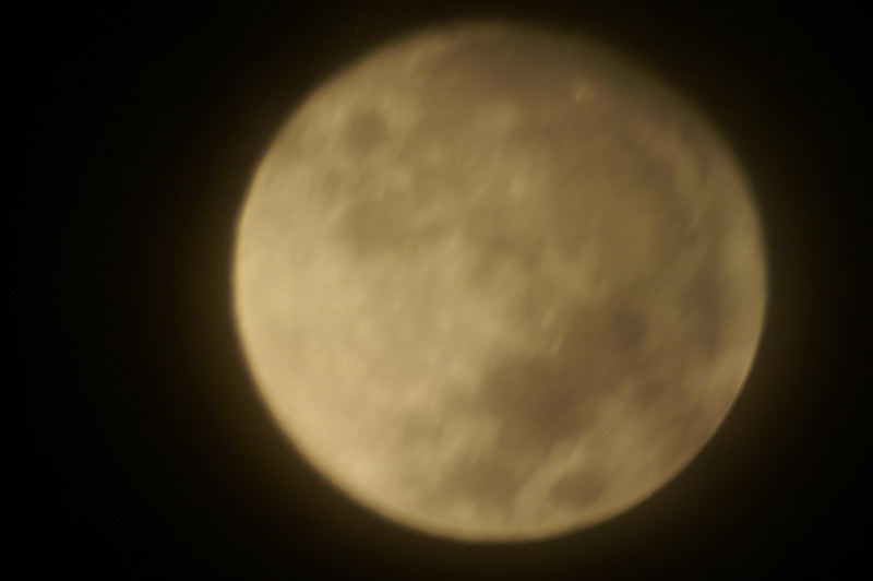 牛反150_750c.jpg