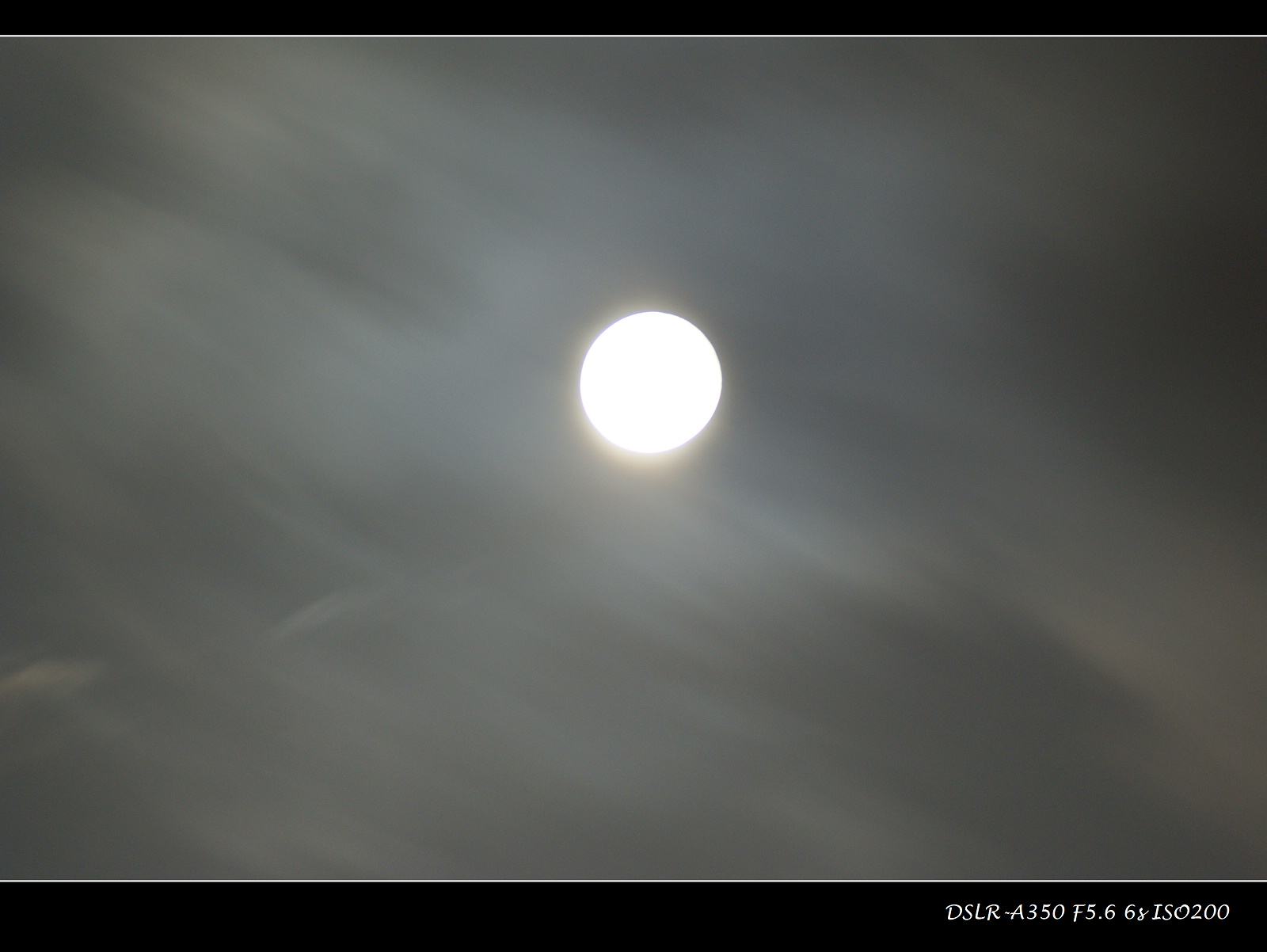 DSC00785.JPG