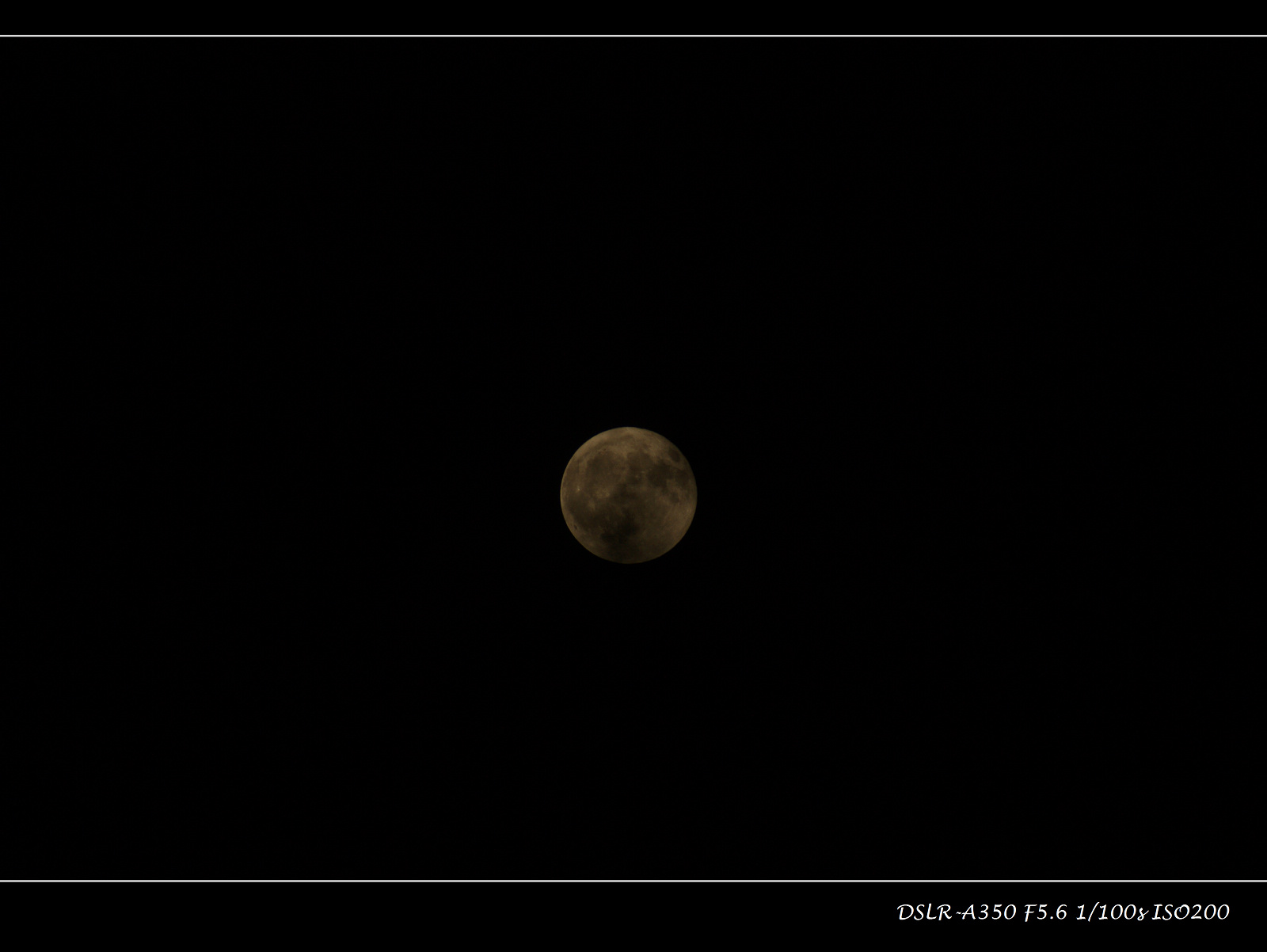 DSC00786.JPG
