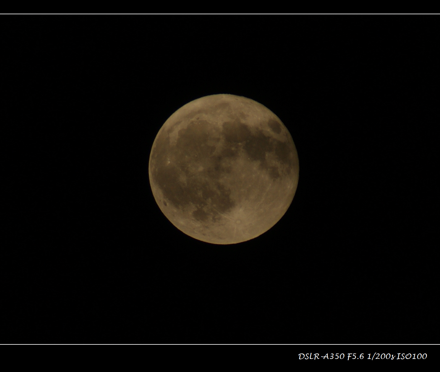 DSC00795.JPG