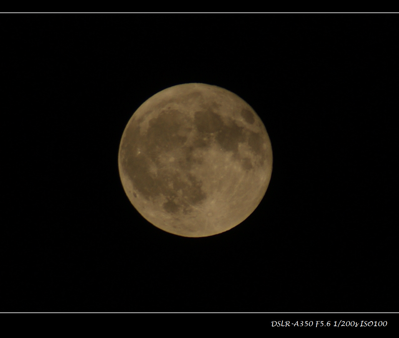 DSC00794.JPG