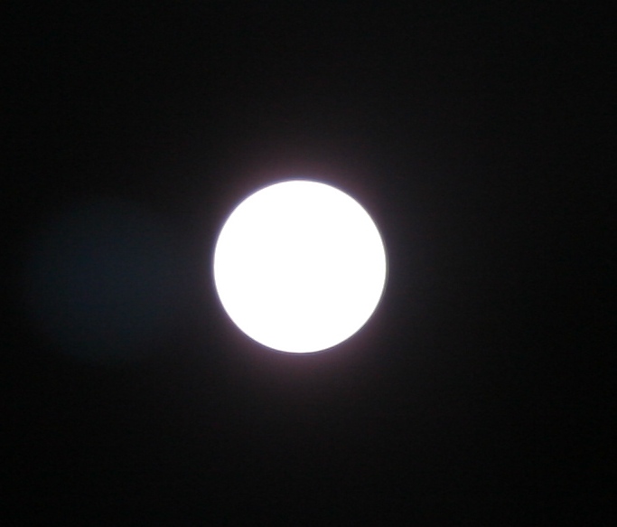 1250.JPG