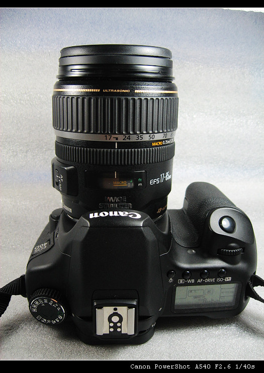 40d (1).JPG