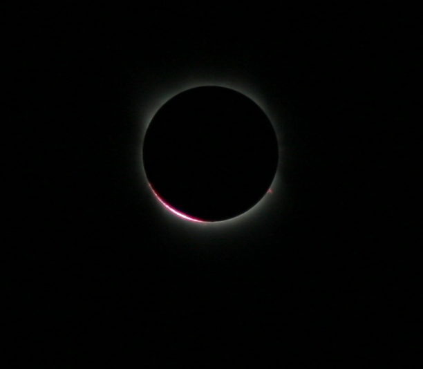 IMG_7851.JPG