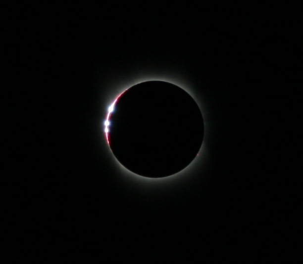 IMG_7771.JPG