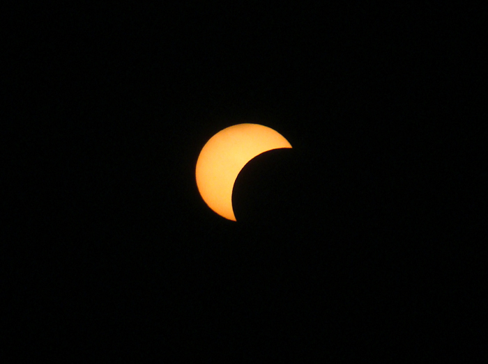 DSC06468x.jpg