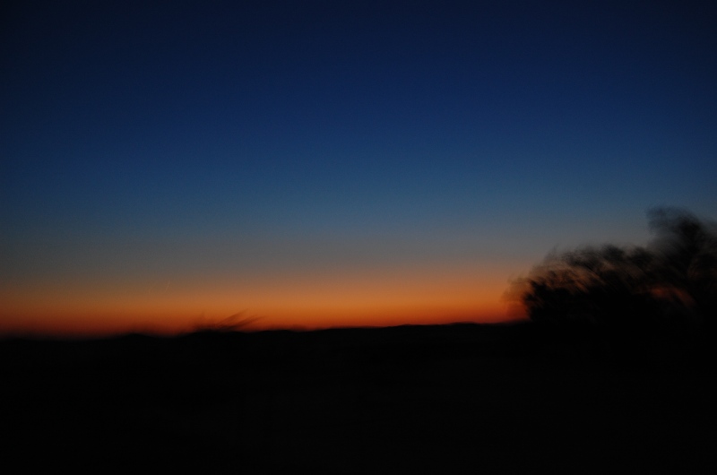 DSC_1075.jpg