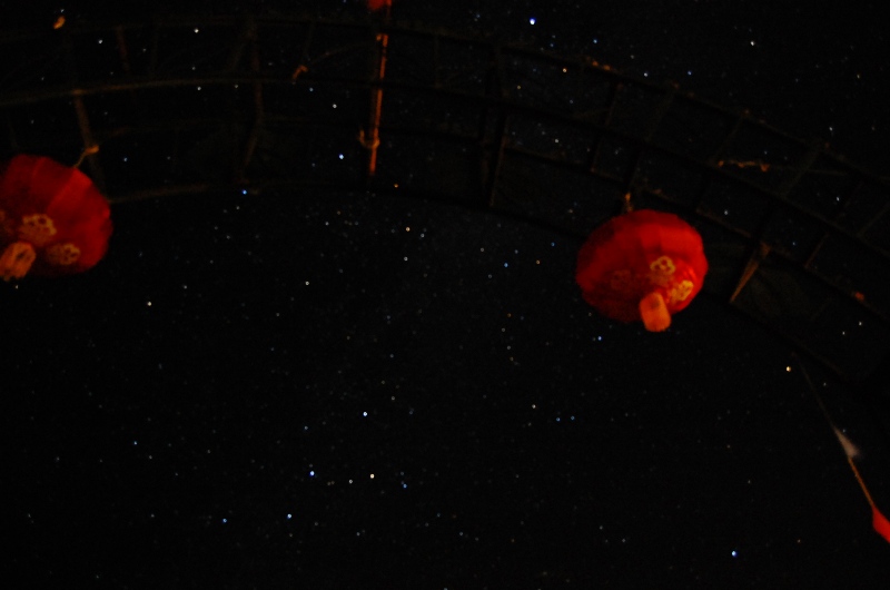 DSC_1090.jpg