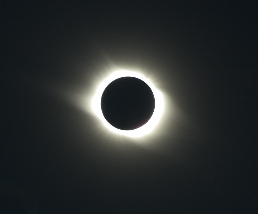 DSC_0698.jpg