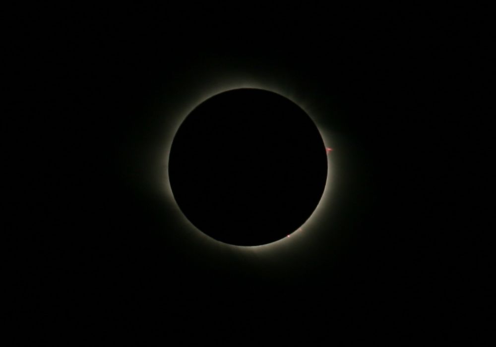 IMG_4819.JPG