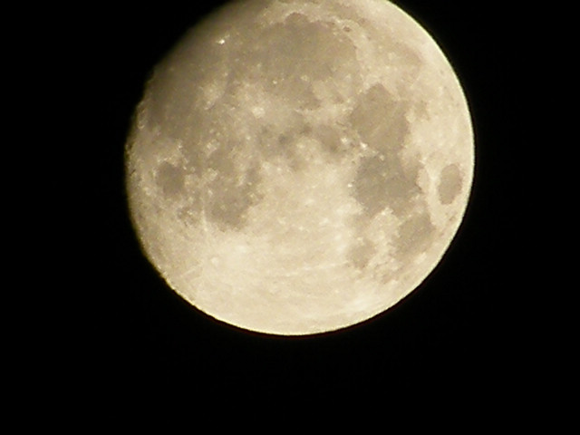 DSCF1019.jpg