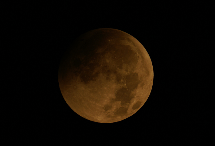 DSC02632p.jpg