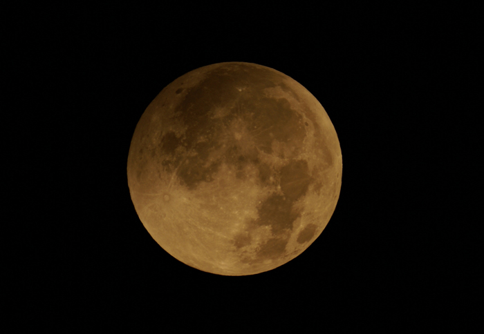 DSC02626p.jpg