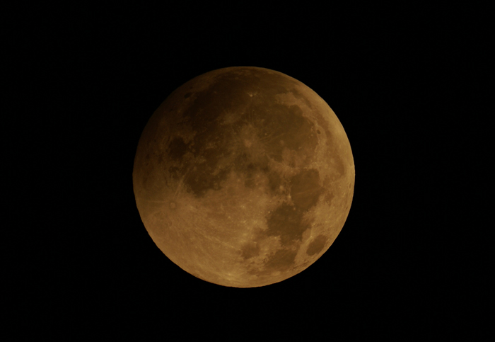 DSC02629p.jpg