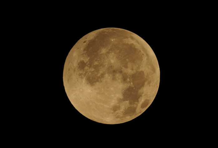 DSC02619p.jpg
