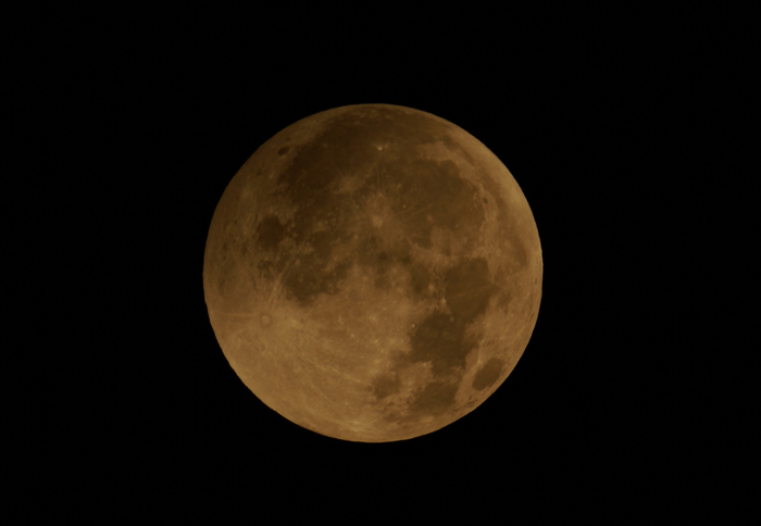DSC02622p.jpg