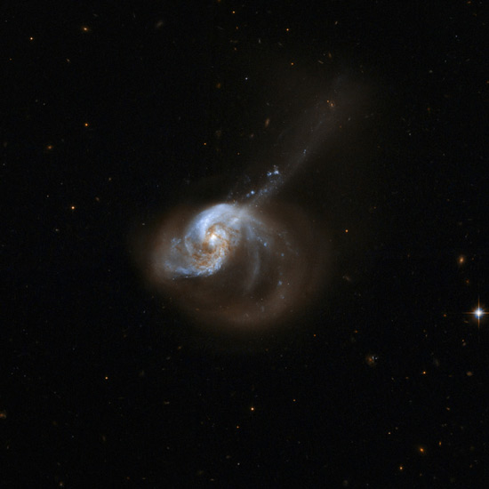 NGC 1614.jpg