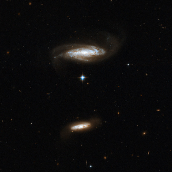 IC 2810.jpg