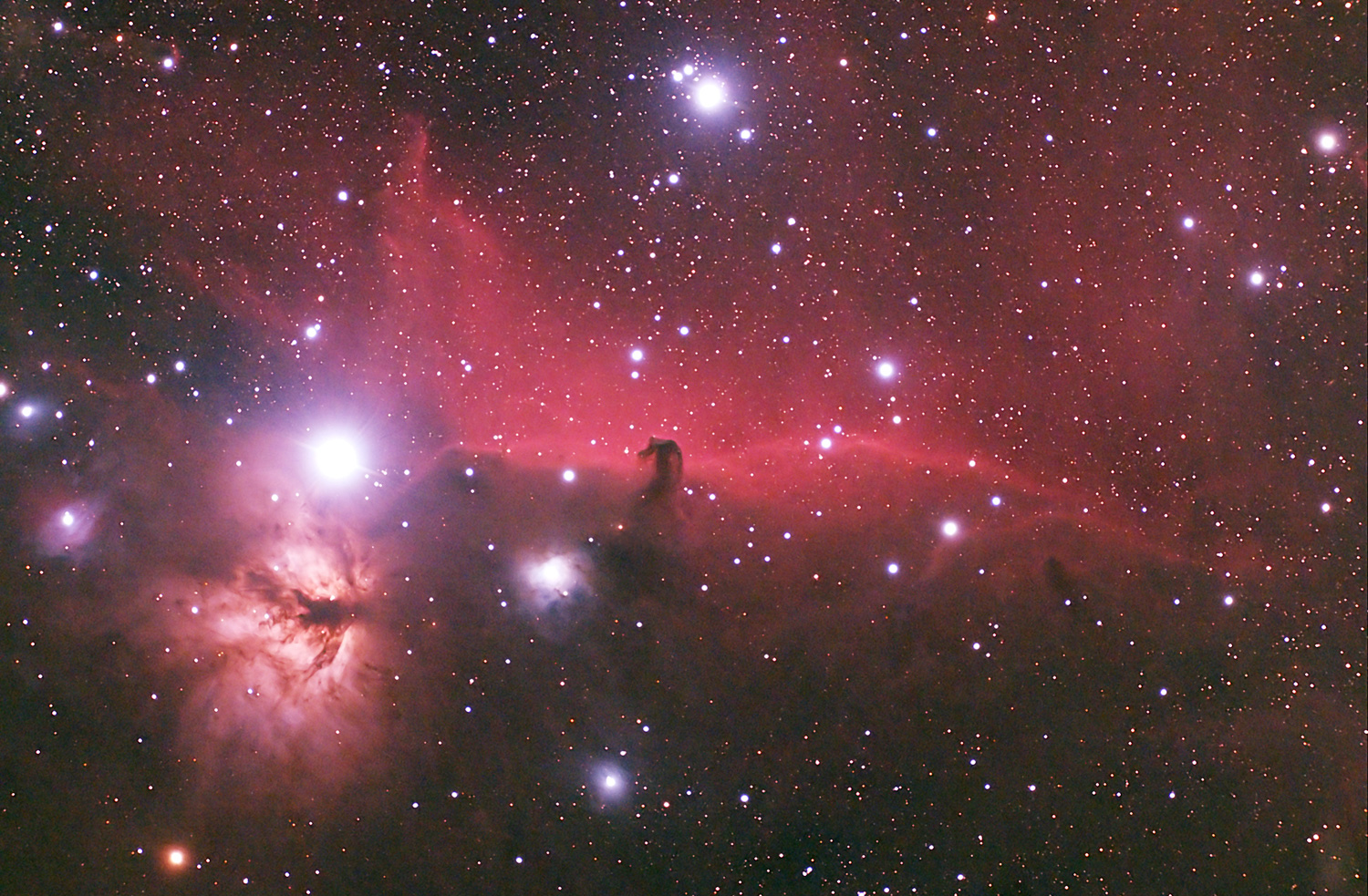 horsehead-mask.jpg