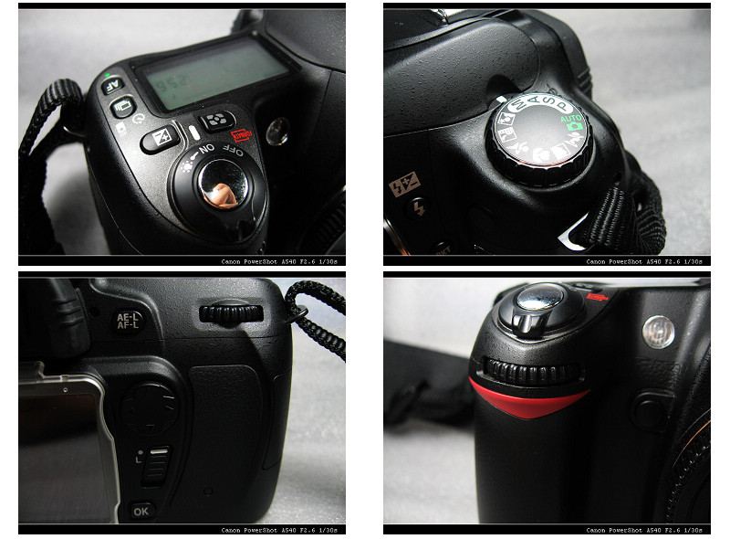d80 1.jpg