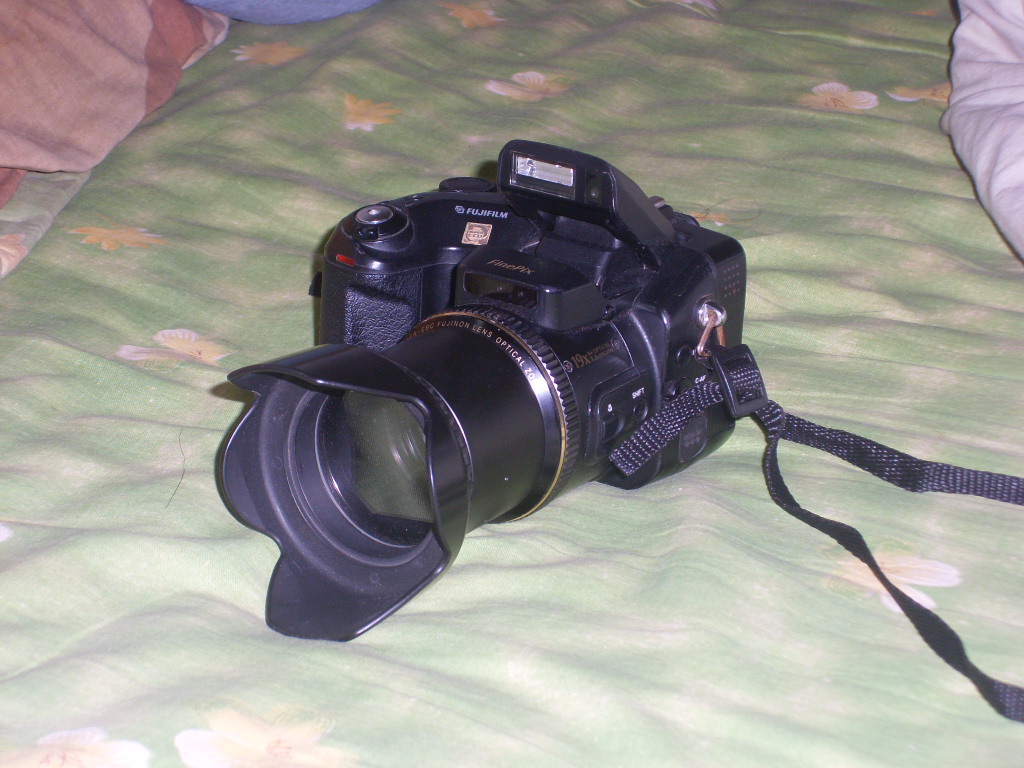 SL381721.JPG