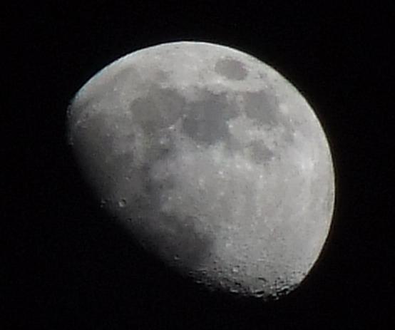 DSCF079401.jpg
