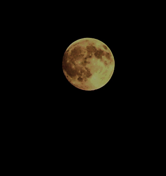 DSCF061700.jpg