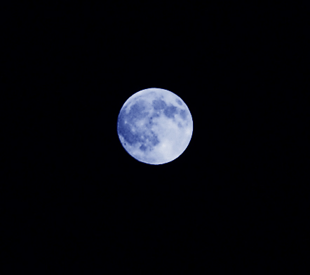 DSCF06160.jpg