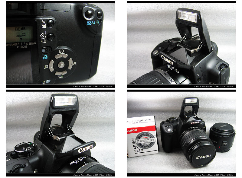 350d 2.jpg