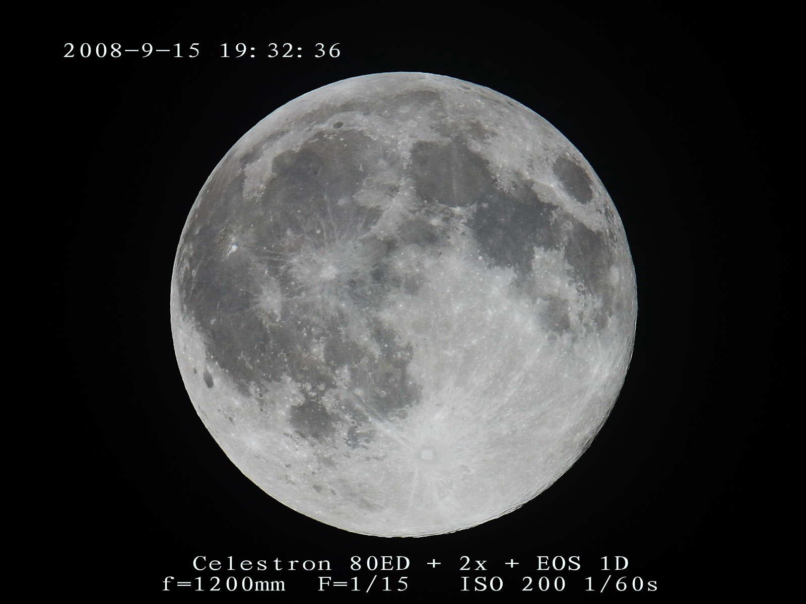 05FF4246.jpg